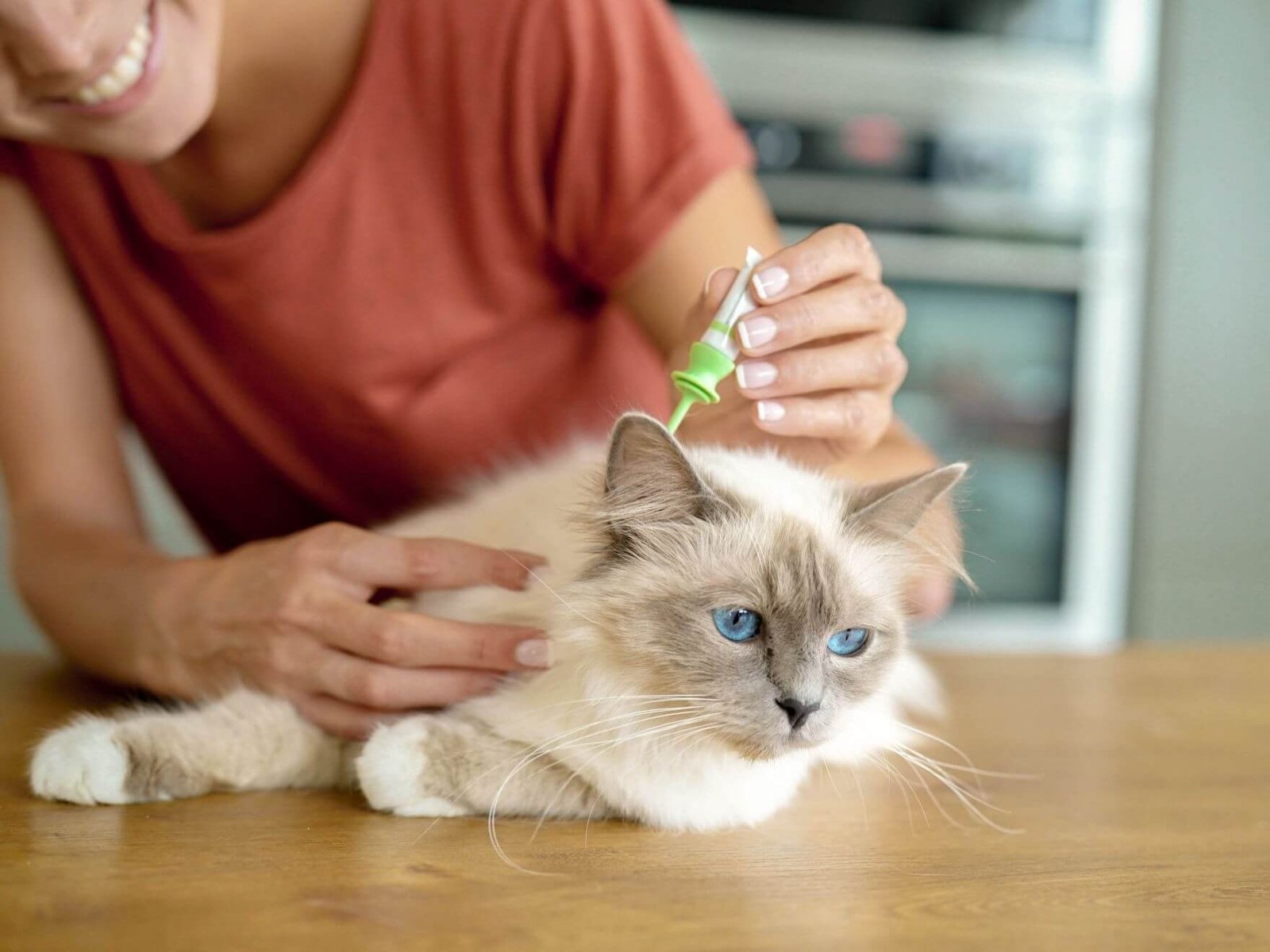 Flea, Tick & Ear Mite Protection For Cats 