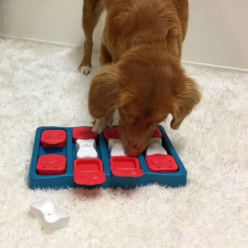 Nina Ottosson Dog Brick: Best Dog Puzzle Toys for Large Dogs
