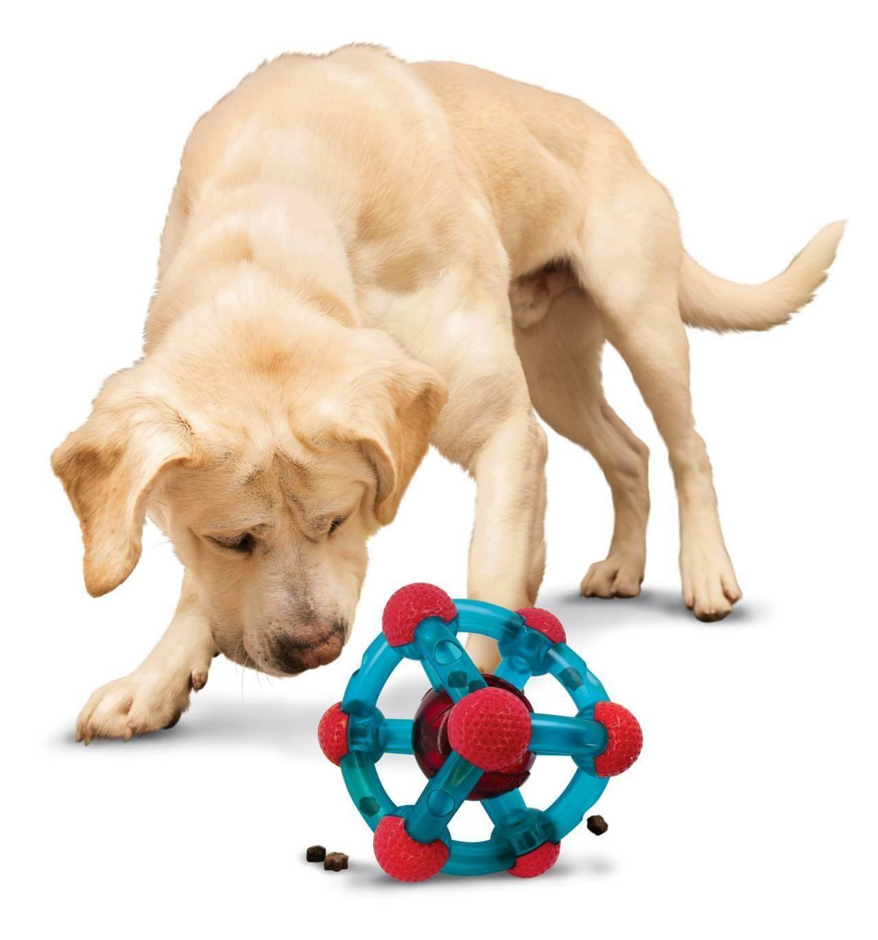 Treat dispensing dog toys are great for keeping your pup entertained and mentally stimulated