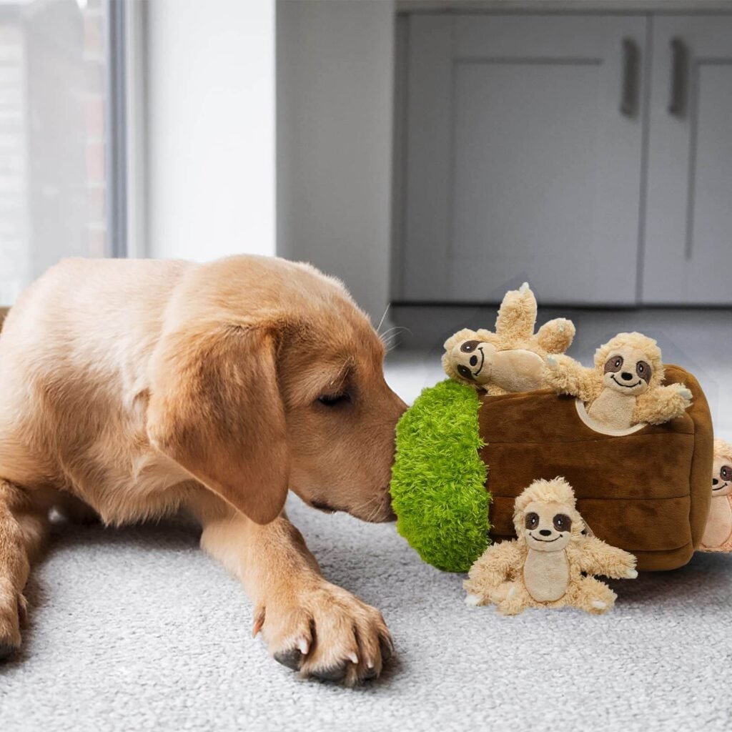 Benefits of Aesthetic Dog Toys