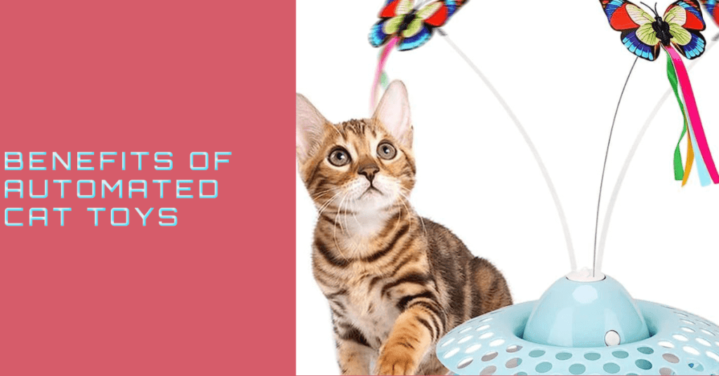 Benefits of Automated Cat Toys