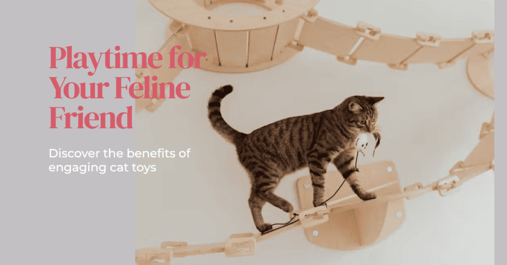 Benefits of engaging cat toys