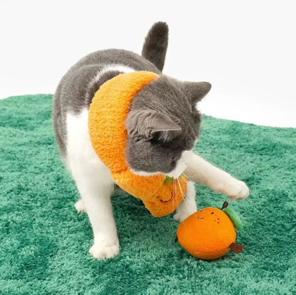 Benefits of Playing with Toys for Cats