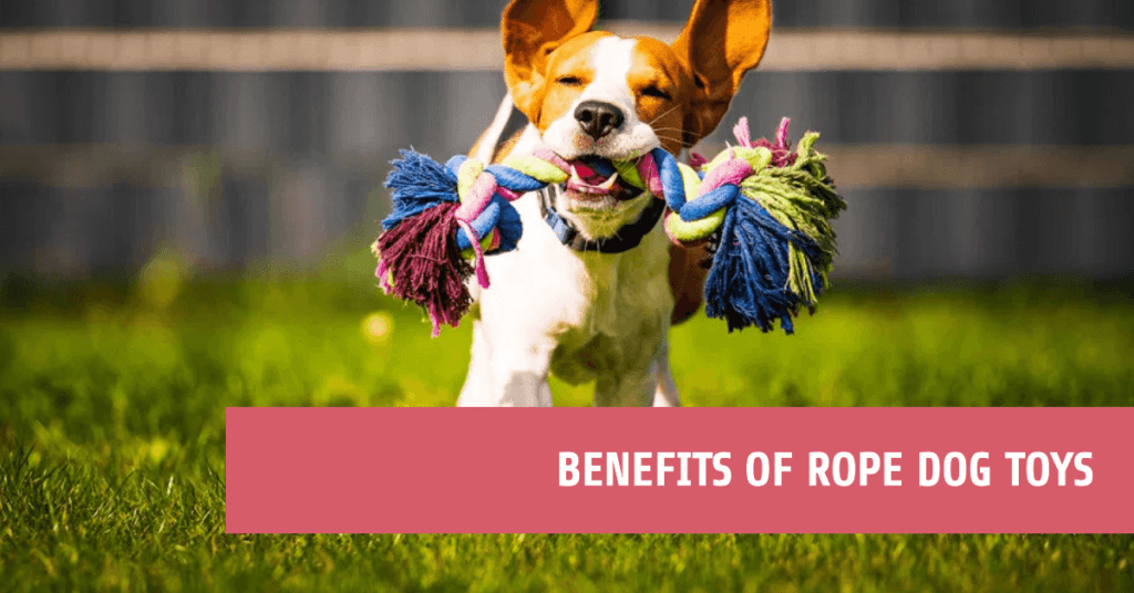 Benefits of Rope Dog Toys