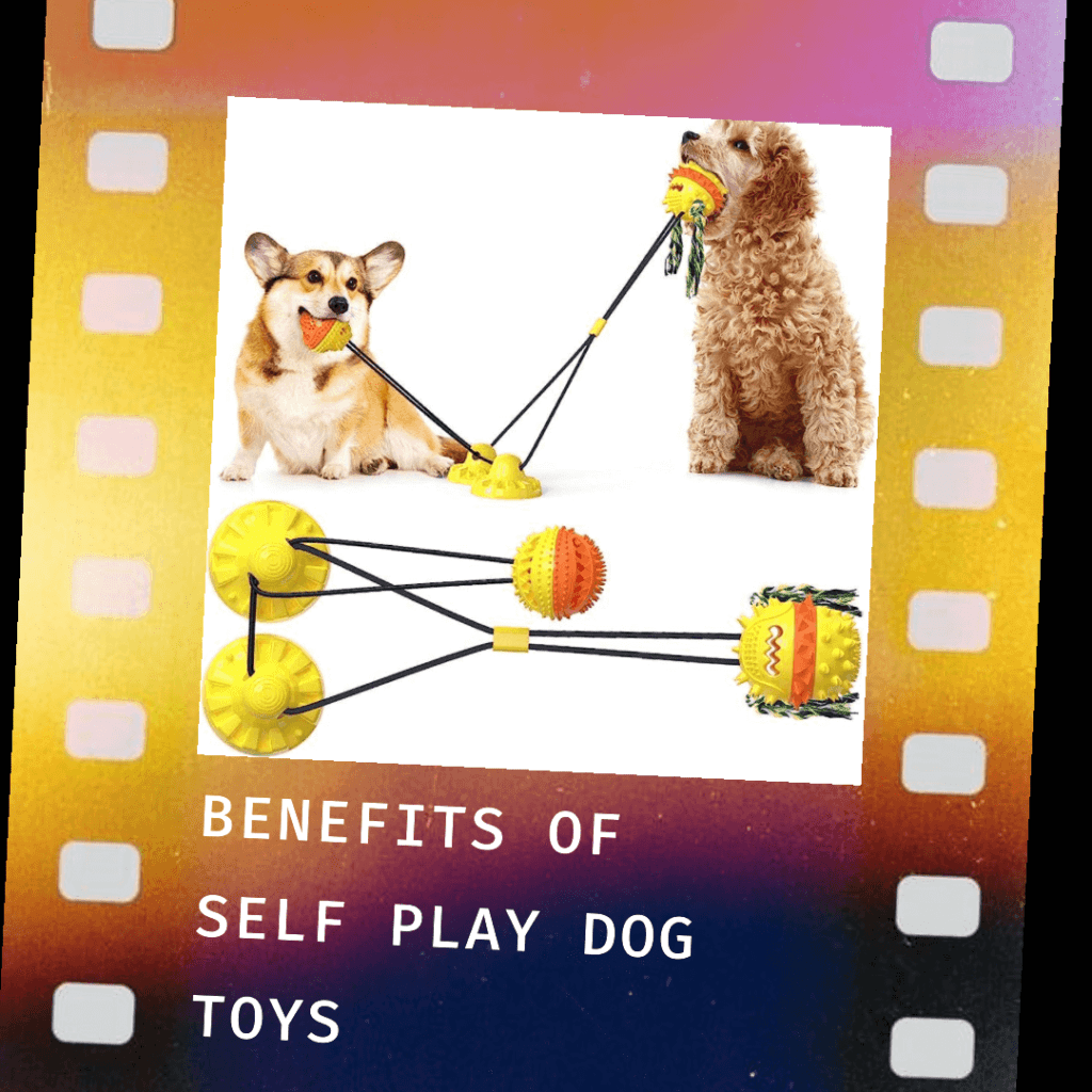 Benefits of Self Play Dog Toys