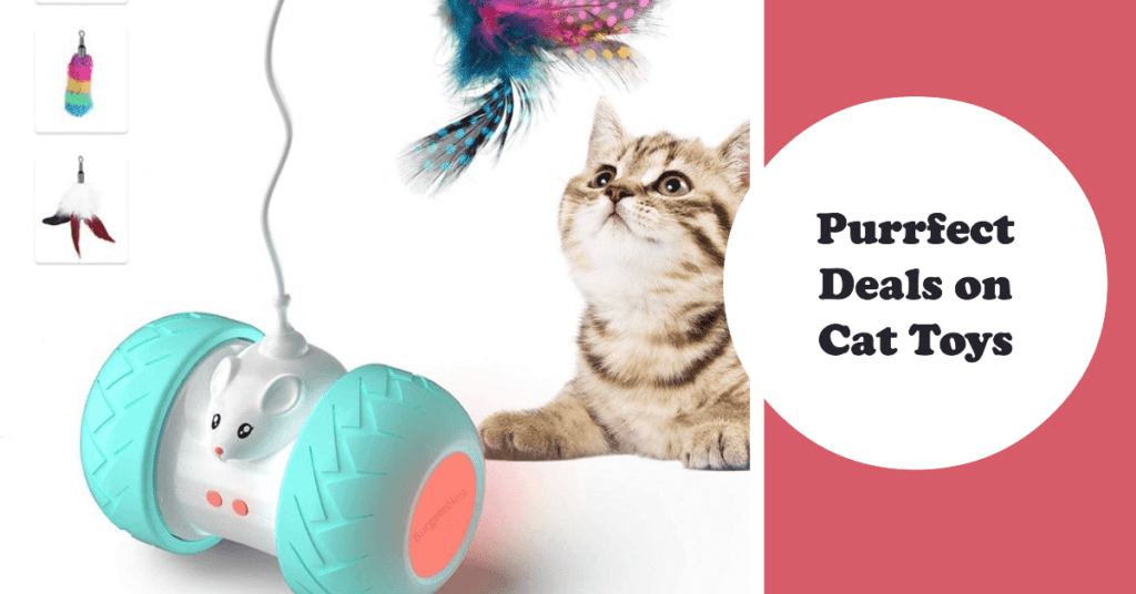 Best Deals on Cat Toys