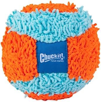 Best for Fetch: Chuckit! Indoor Ball, Soft Dog Toy