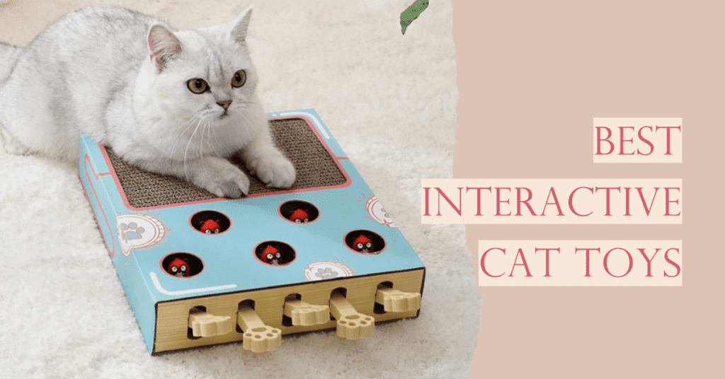 The Best Interactive Cat Toys