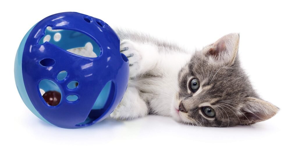 Big Ball Cat Toy - A Unique Twist on the Classic Ball Toy