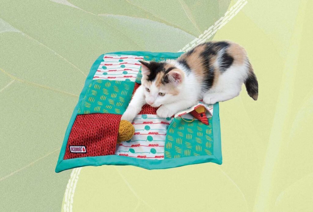 Cat Enrichment Toy Recommendations