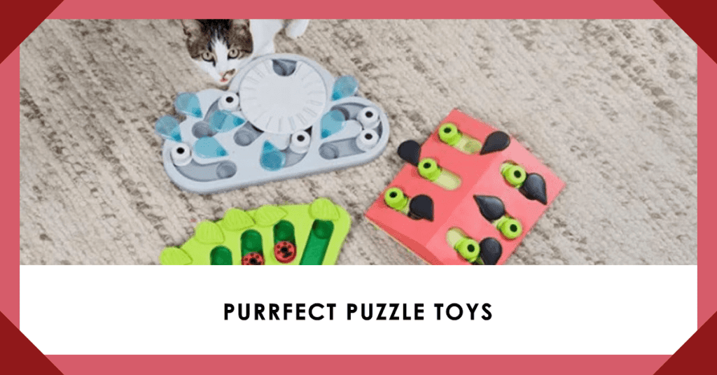 cat puzzle toys