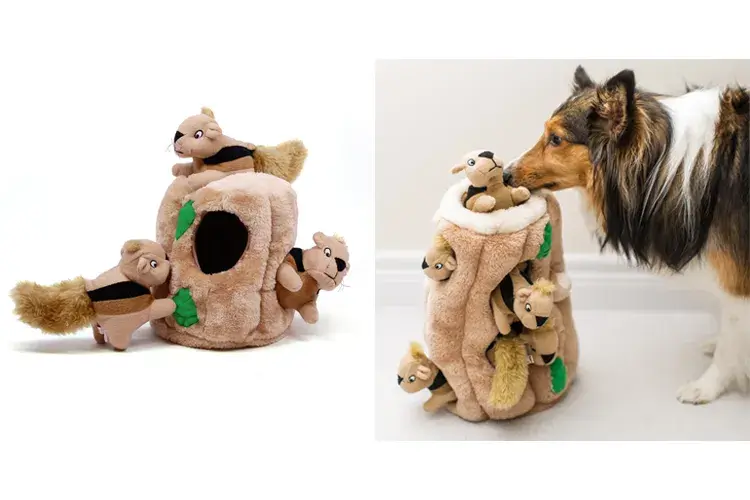 Choose the Right Aesthetic Dog Toy