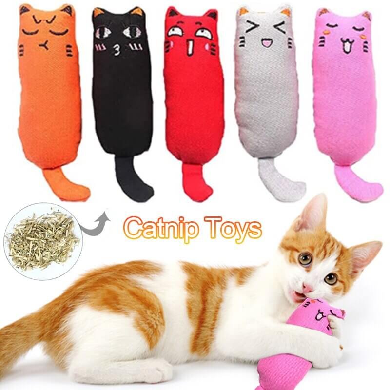 Conclusion: Final thoughts on the best cat toys with catnip