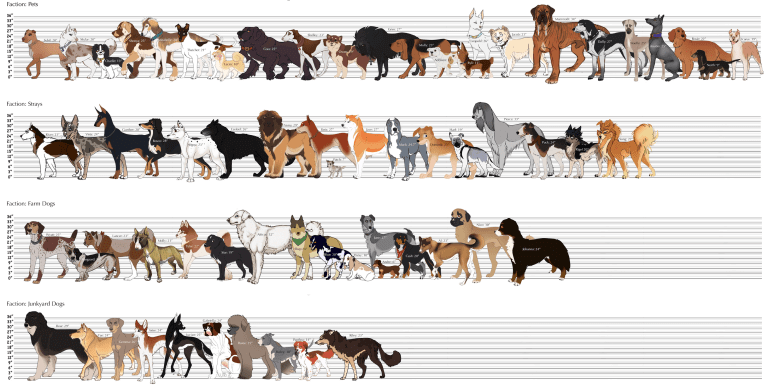 Consideration of dog's size and breed