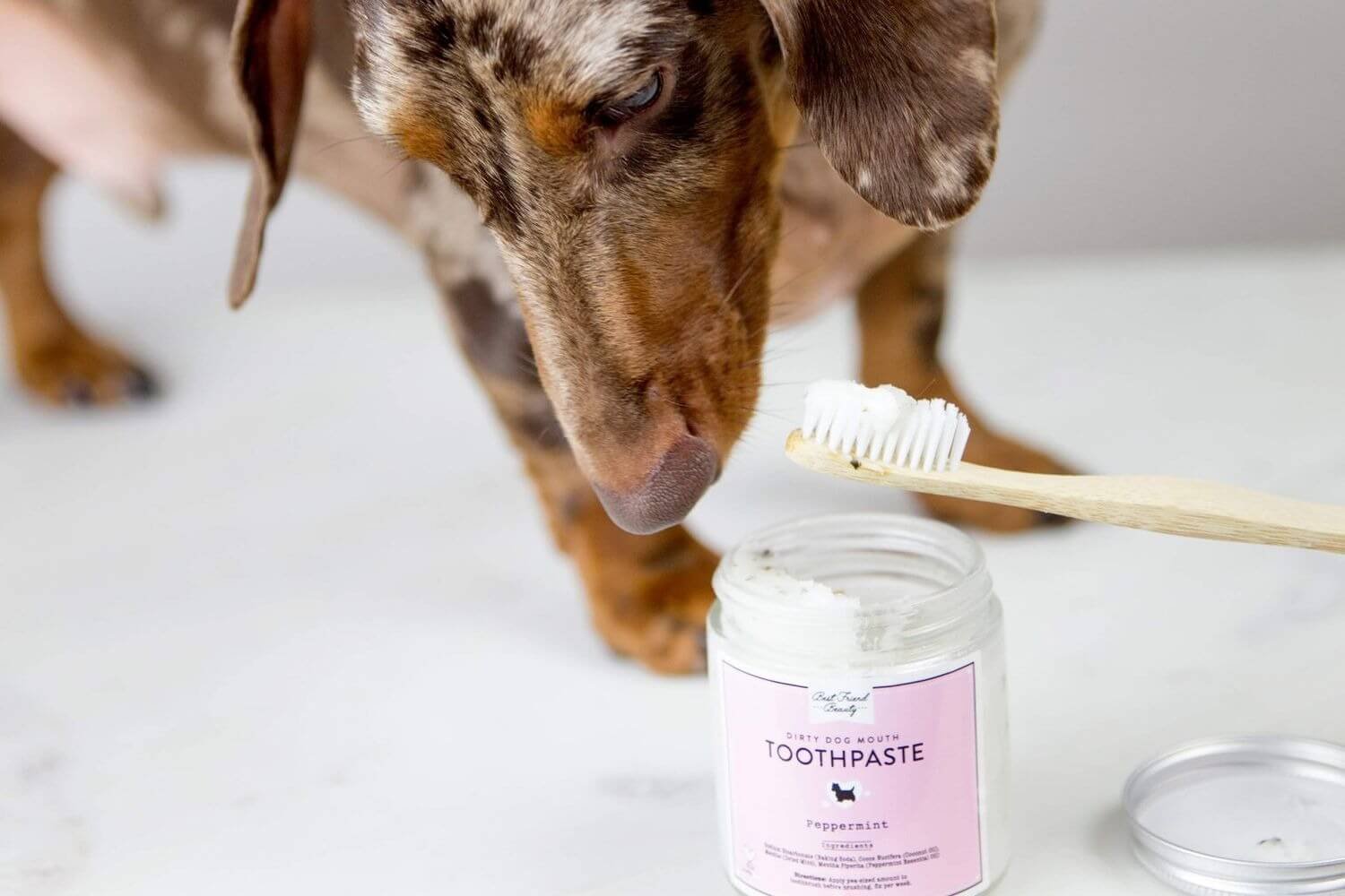 dental care product for dogs