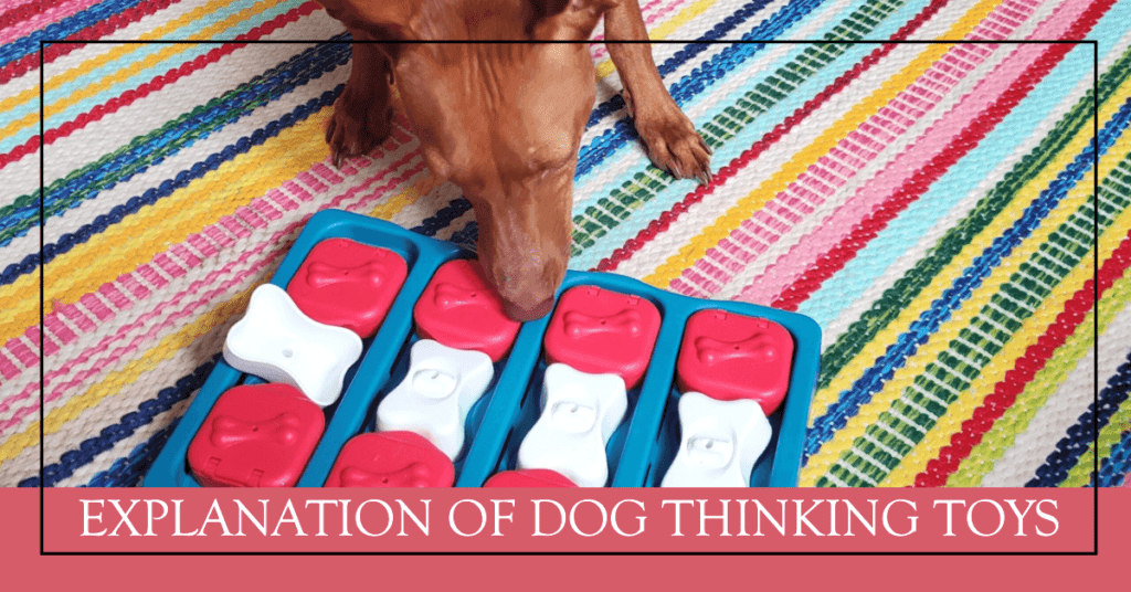 Explanation of dog thinking toys