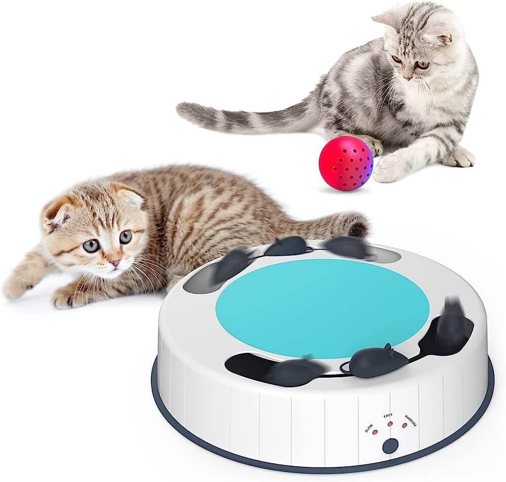 Factors to Consider When Choosing an Automated Cat Toy