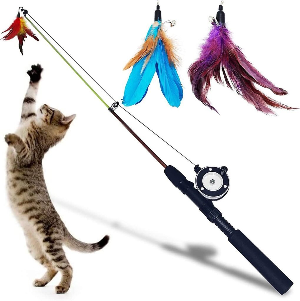 Feather toys