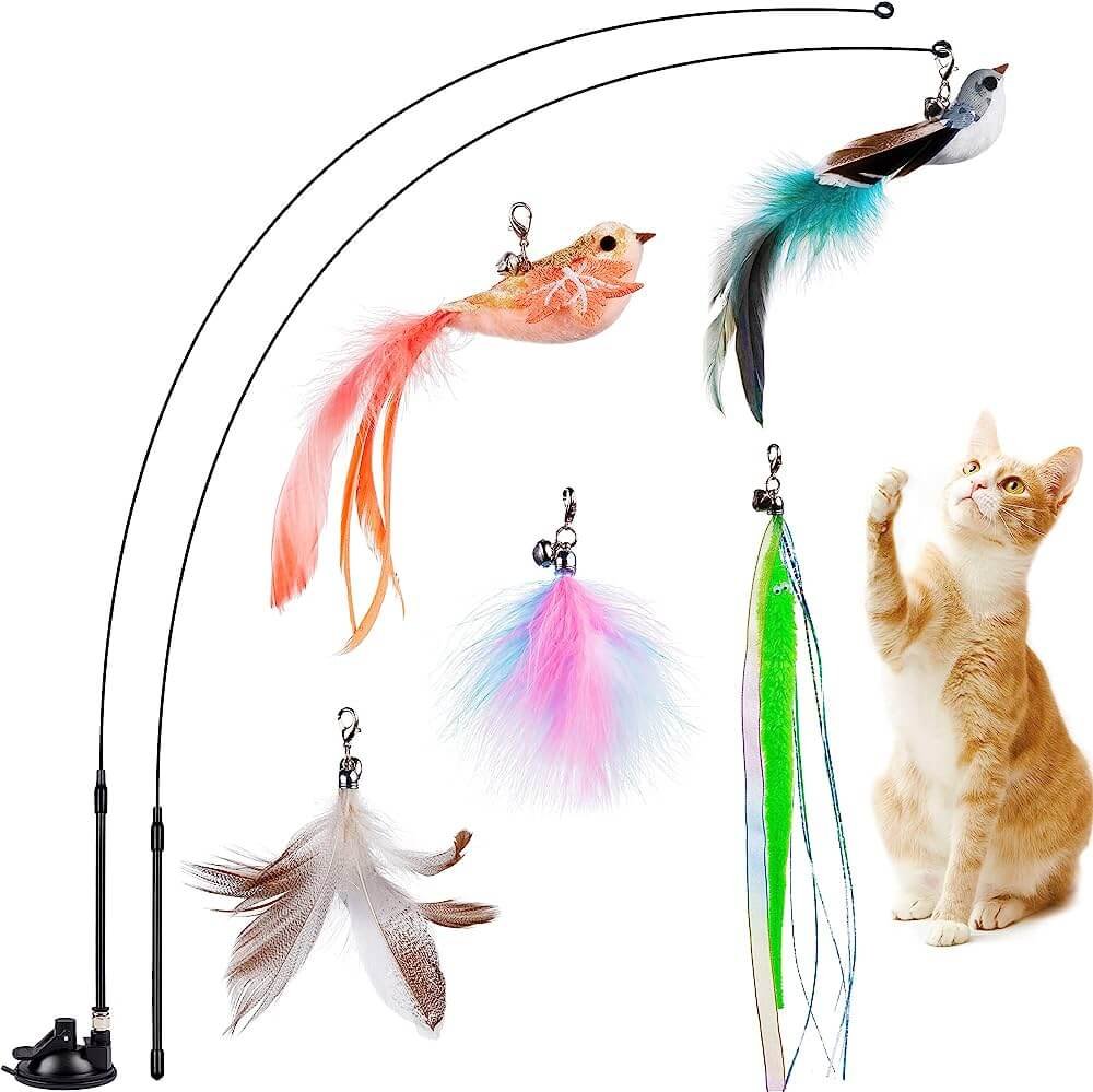 Feather wands and string toys