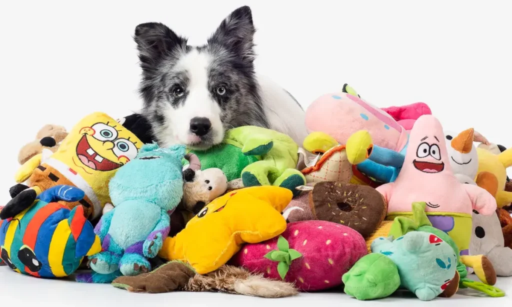 Final thoughts on finding the best dog toys for your good dog
