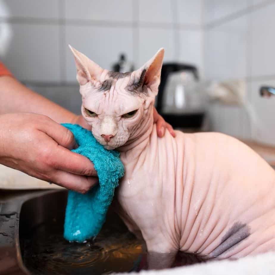 Hygiene and Grooming