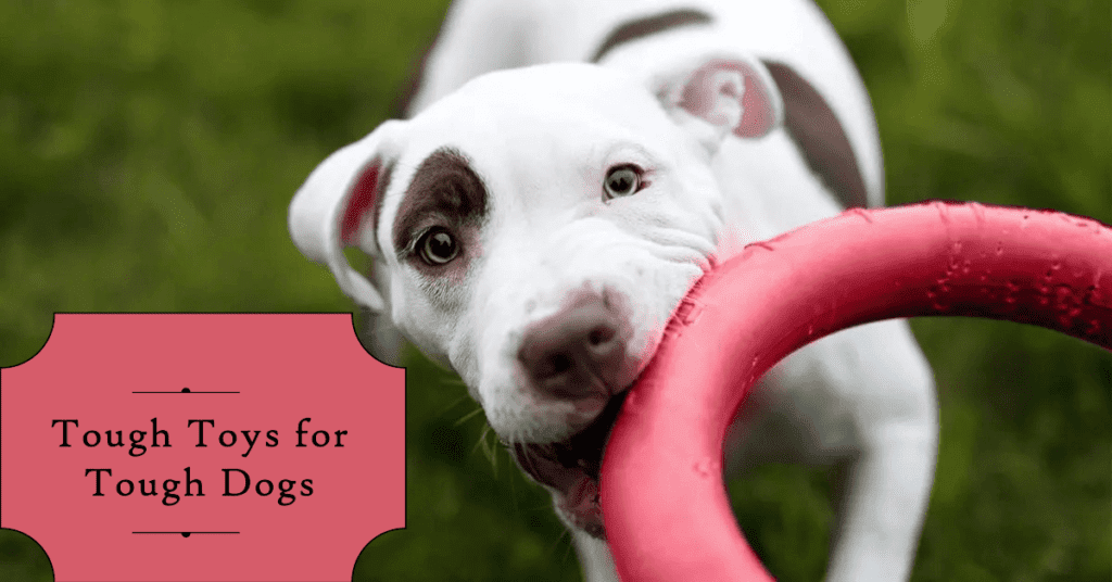 Importance of tough dog toys for aggressive chewers