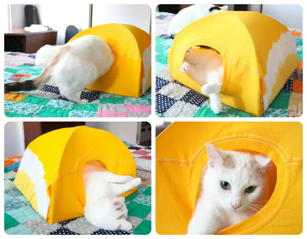 Kitty Tent - Bringing the Outdoors In for Indoor Cats