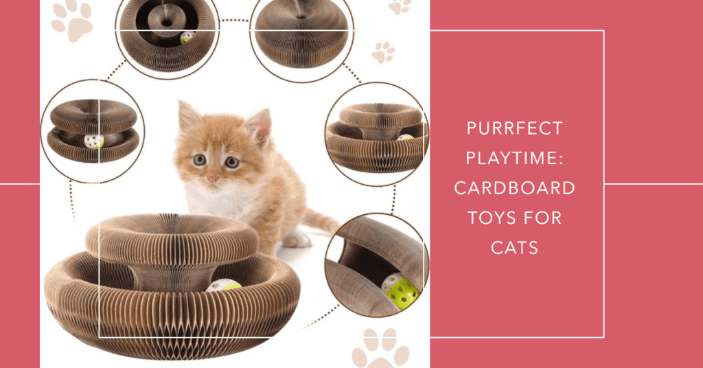 Overview of cardboard cat toys