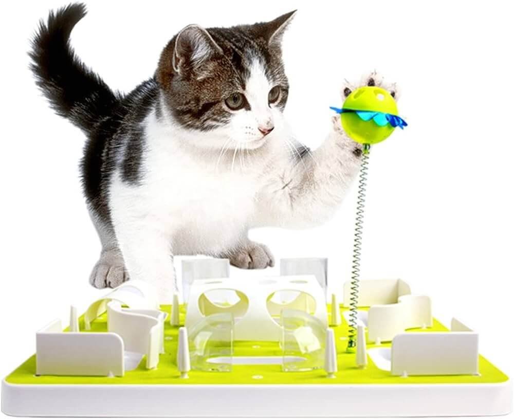 Provide puzzle feeders toy