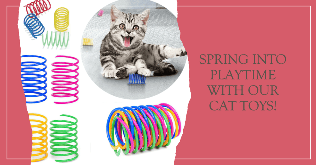 Benefits of Spring Toys for Cats