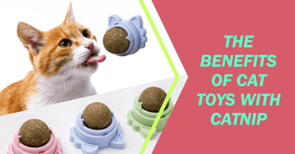 The benefits of cat toys with catnip