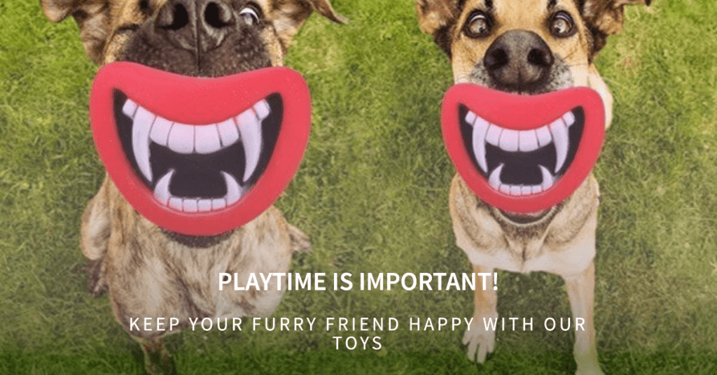 Introduction: The Importance of Dog Toys