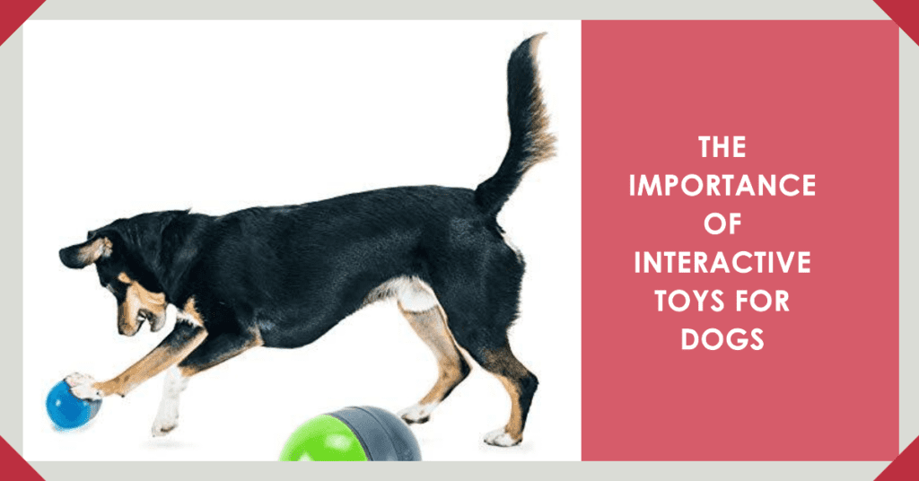 the importance of interactive toys for dogs