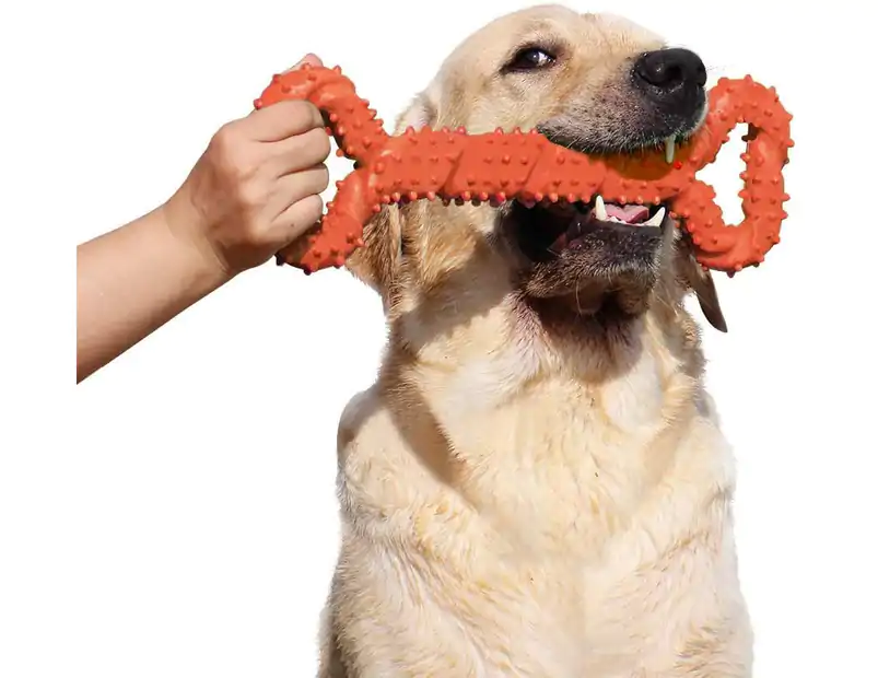 Tips for keeping tough dog toys clean and safe