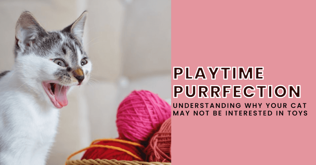 Understanding the Reasons Behind Cats Not Playing with Toys