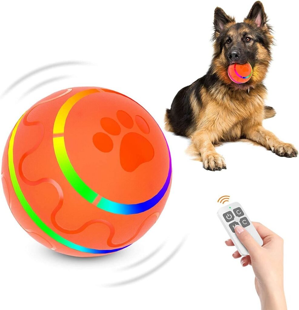 What Are Self-Moving Dog Toys?