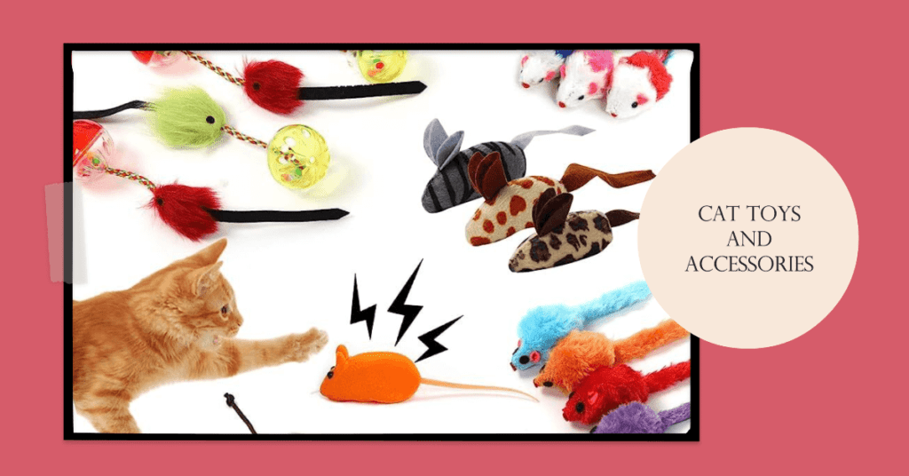 Why are cat toys and accessories important