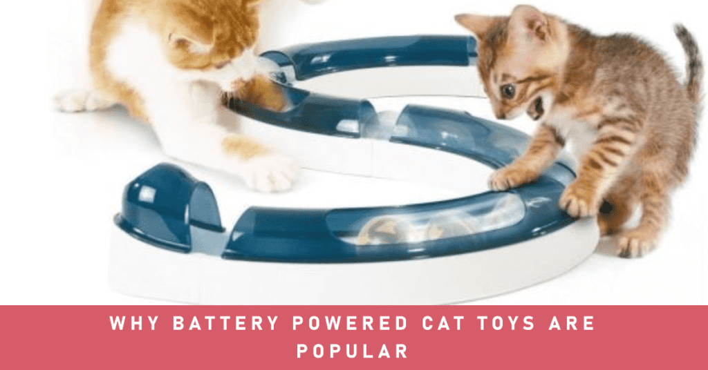 Why Battery Powered Cat Toys are Popular