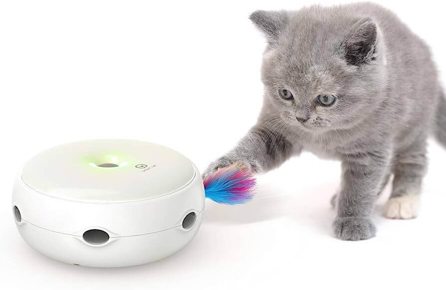 Why interactive cat toys are important for cats