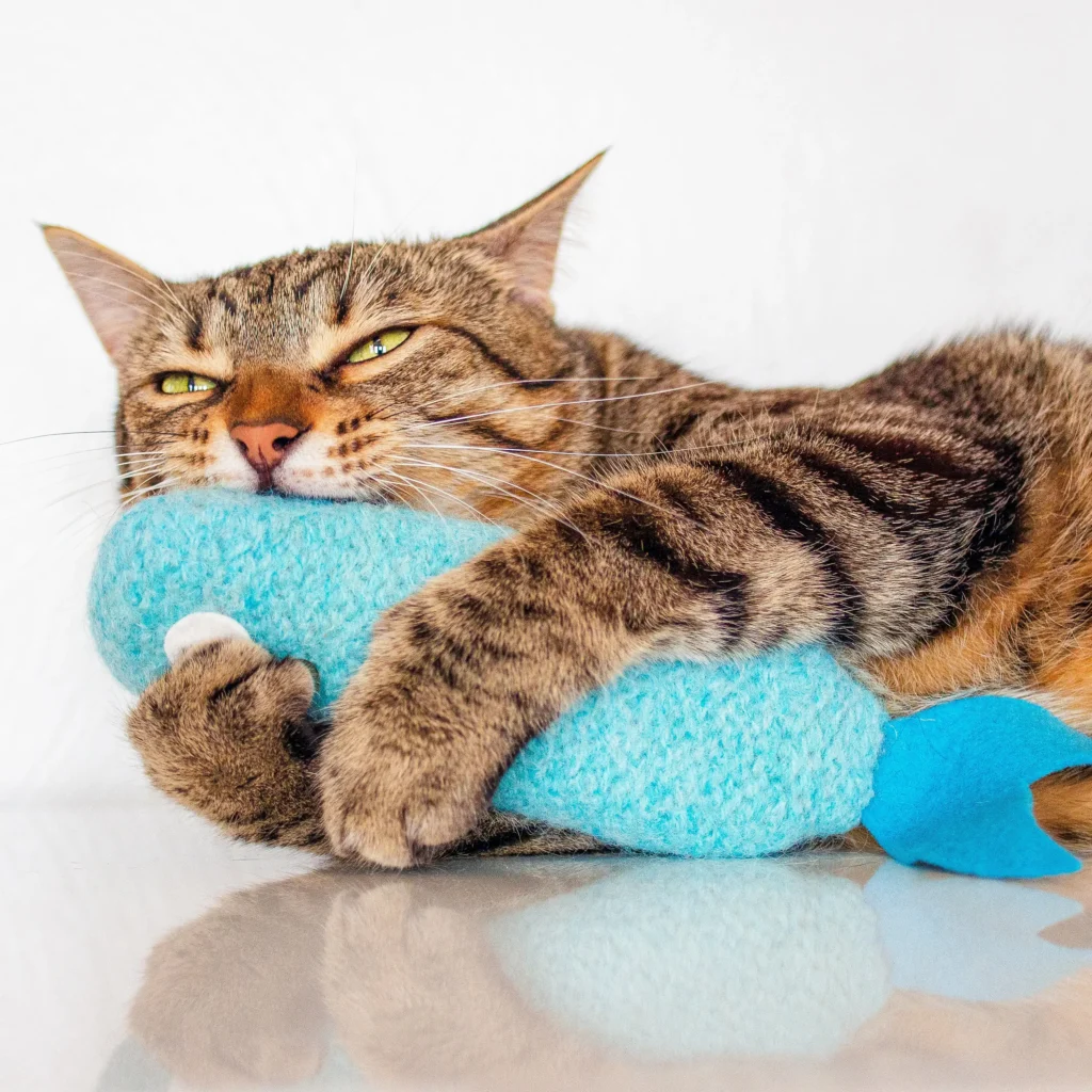 Why some cats may not respond well to catnip
