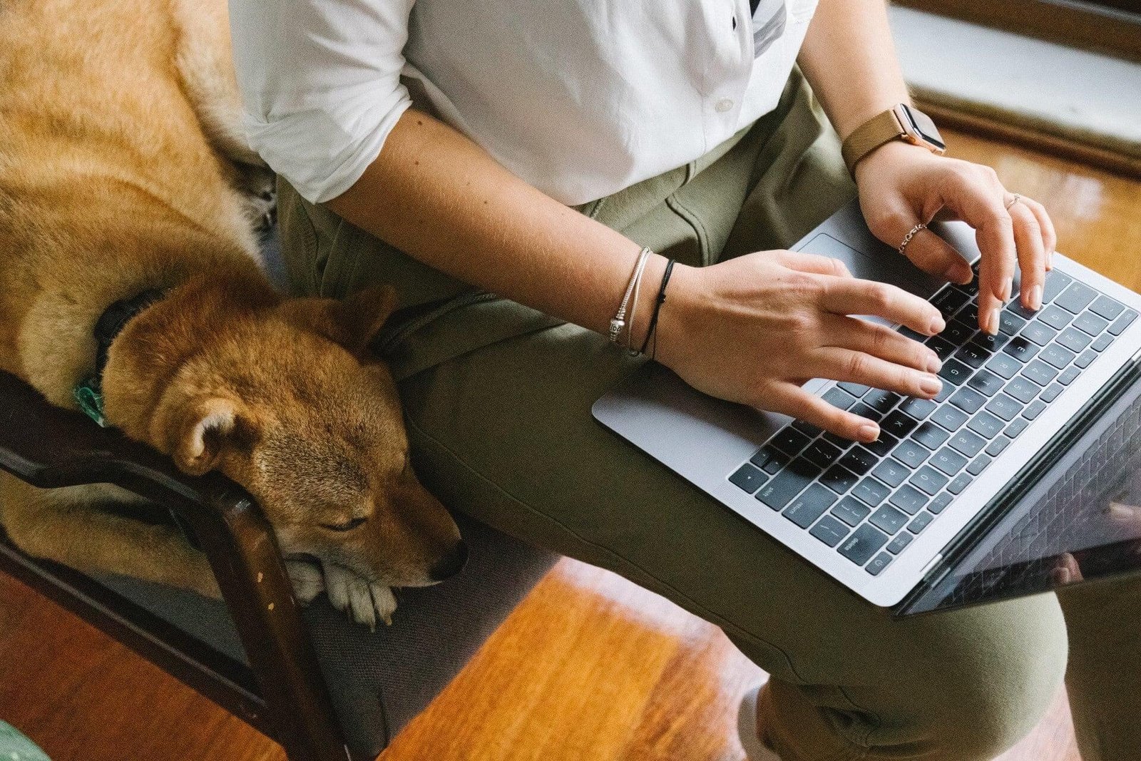 Balance caring a dog and a full time work