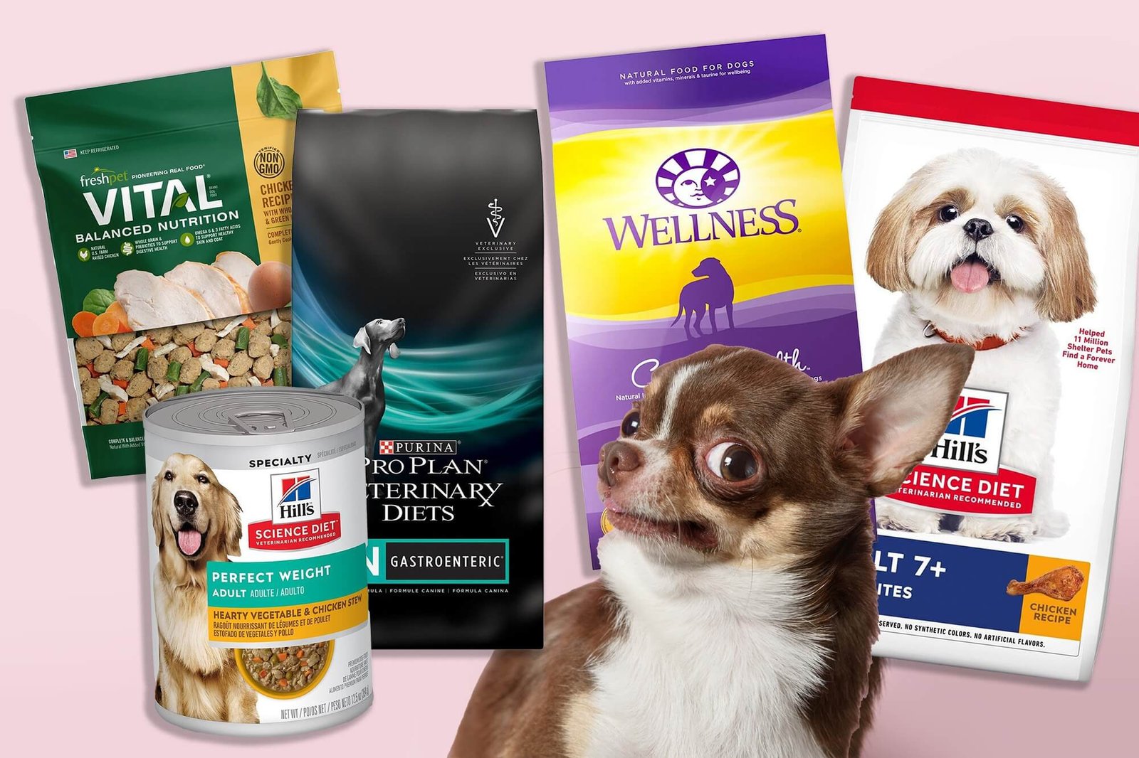 Choose high-quality dog food 