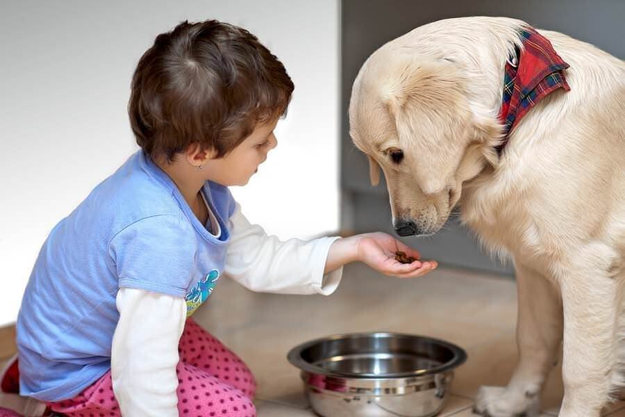Kids have the responsibility to feed and water their pup