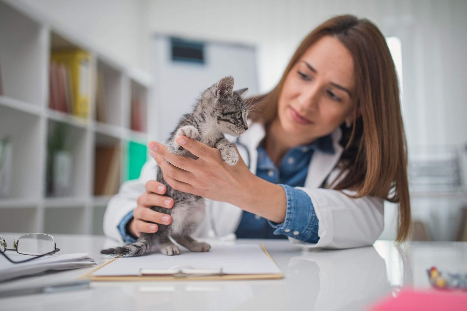 Seeking veterinary advice to Help a Kitten Not Latching