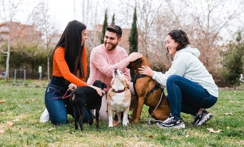 Socializing the Dog with Other Pets and People