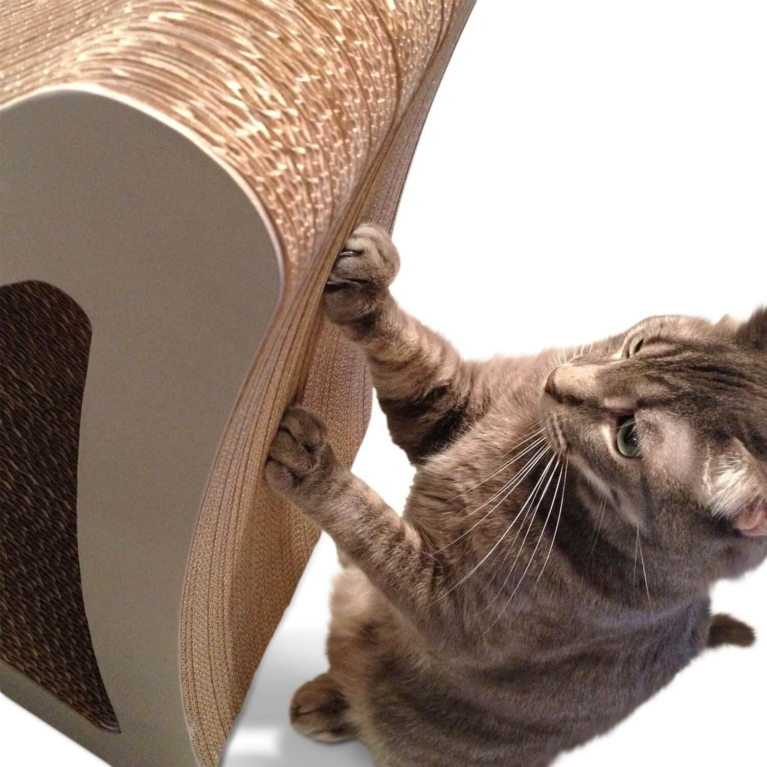 The Petfusion 3 Sided Vertical Cat Scratching Post meets your cat's scratching needs