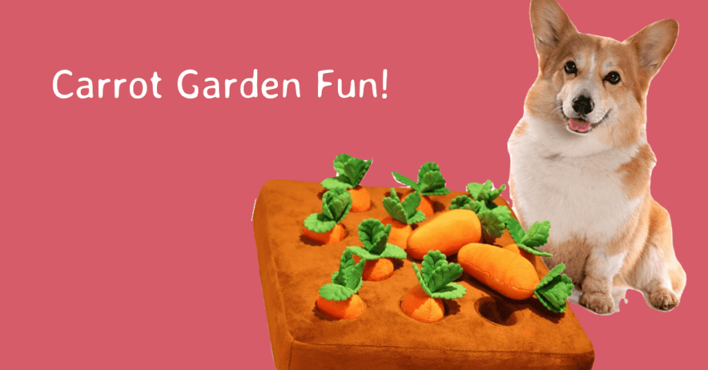 benefits of a carrot garden dog toy