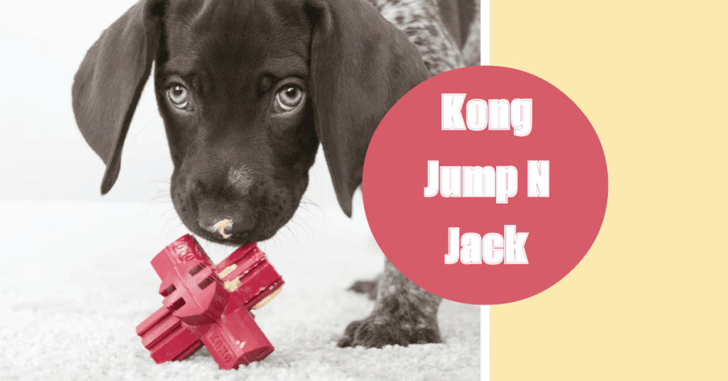 Brief overview of "Kong jump n jack"
