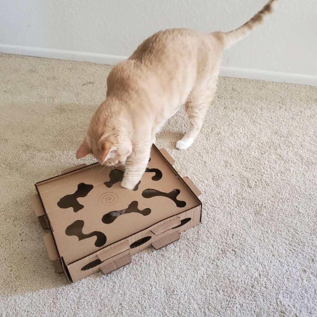 Cardboard puzzle feeder