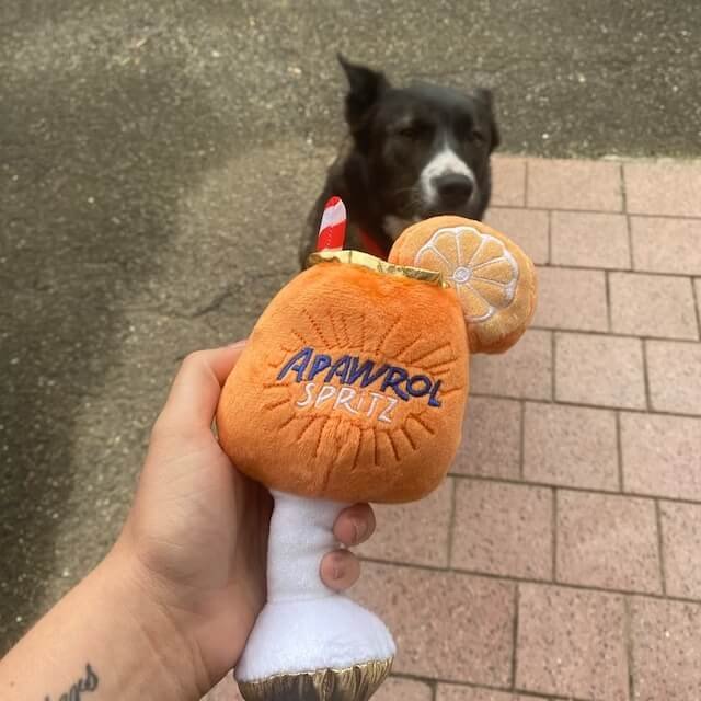 Comparison with other dog toys